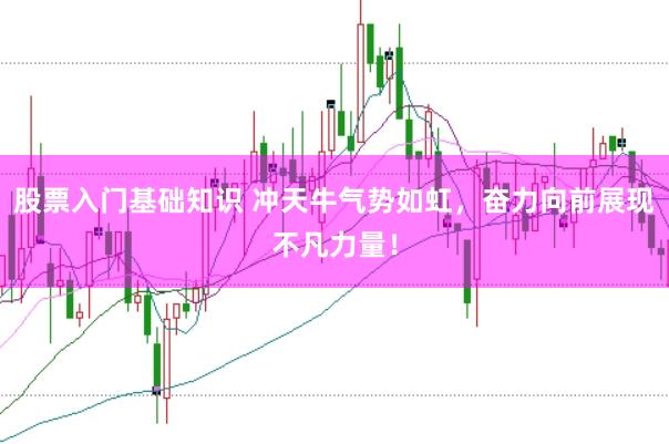 股票入门基础知识 冲天牛气势如虹，奋力向前展现不凡力量！