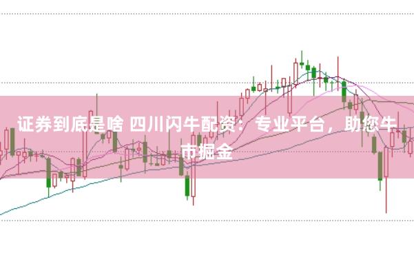 证券到底是啥 四川闪牛配资：专业平台，助您牛市掘金