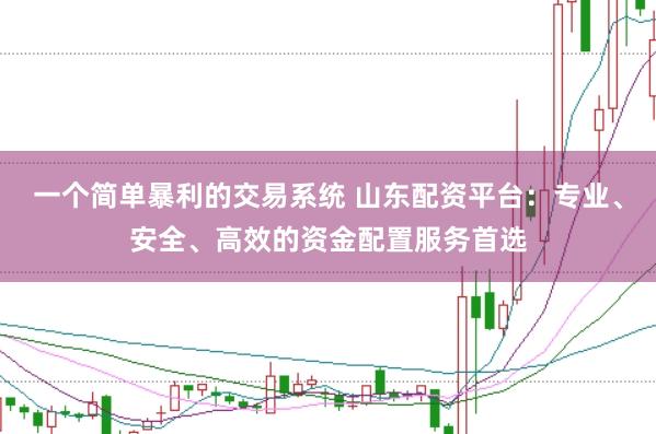 一个简单暴利的交易系统 山东配资平台：专业、安全、高效的资金配置服务首选