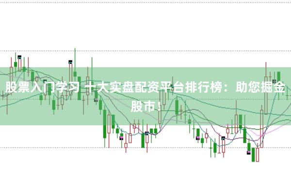 股票入门学习 十大实盘配资平台排行榜：助您掘金股市！